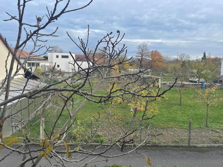 La Grange Proche D'Europapark Apartment Kunheim ภายนอก รูปภาพ