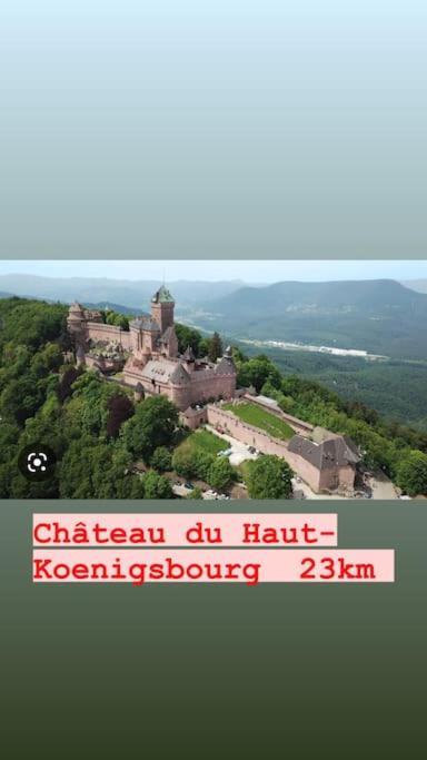 La Grange Proche D'Europapark Apartment Kunheim ภายนอก รูปภาพ