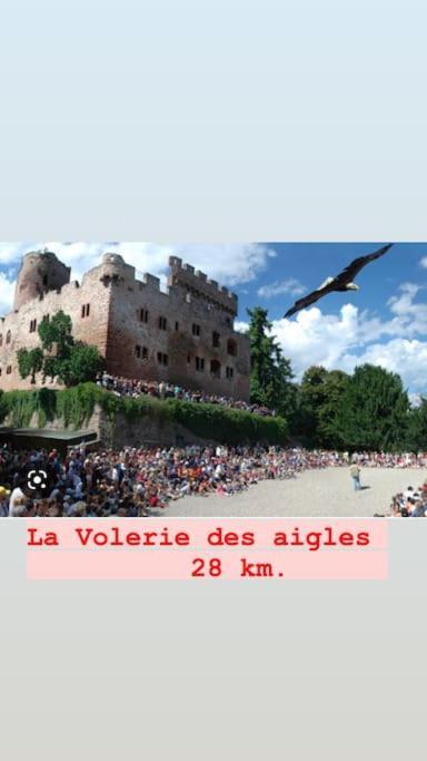 La Grange Proche D'Europapark Apartment Kunheim ภายนอก รูปภาพ