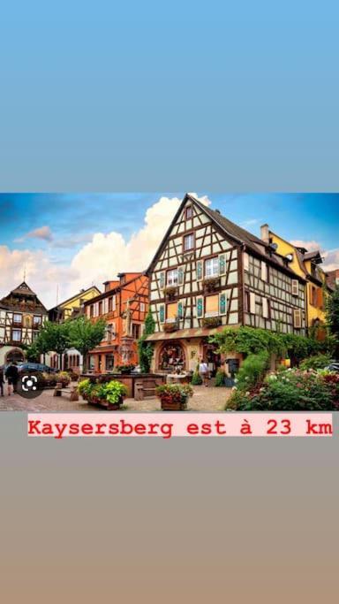 La Grange Proche D'Europapark Apartment Kunheim ภายนอก รูปภาพ