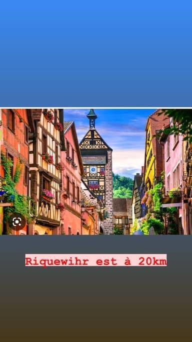 La Grange Proche D'Europapark Apartment Kunheim ภายนอก รูปภาพ