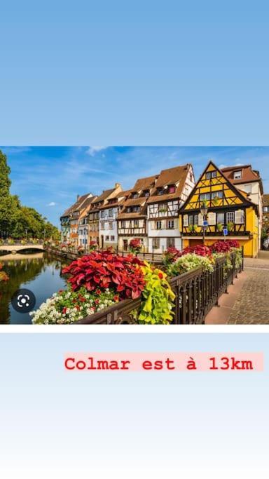 La Grange Proche D'Europapark Apartment Kunheim ภายนอก รูปภาพ